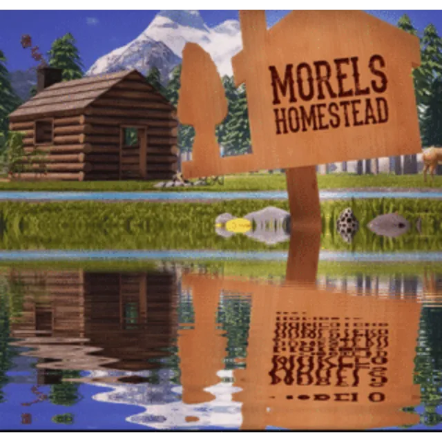 ✅Morels: Homestead (Oculus Quest 1\2\Pro) ⭐VR\Gift⭐