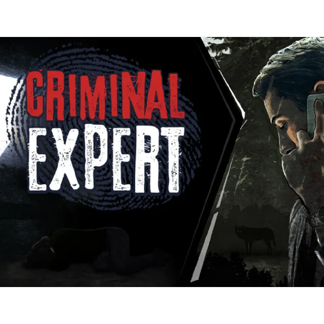 Criminal Expert (steam key)