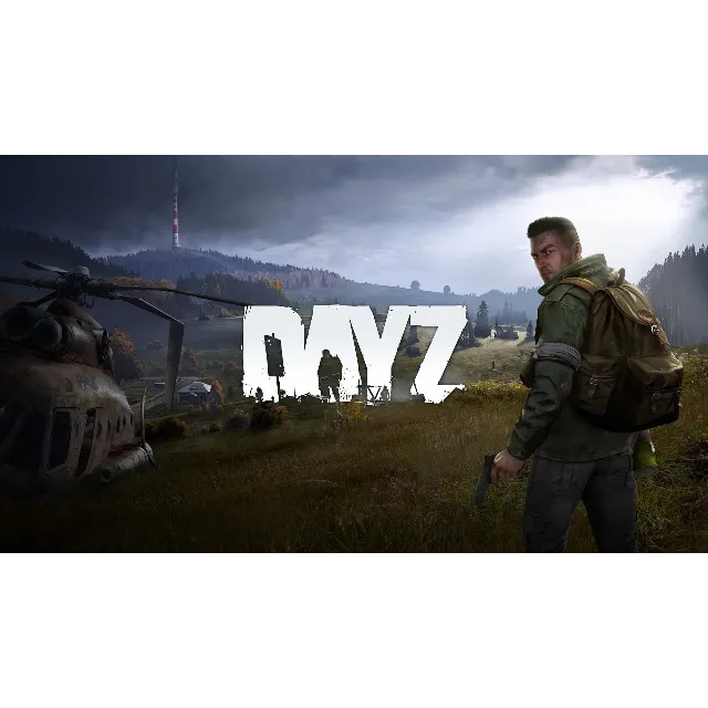 DayZ (PS4/RUS) П3-Активация