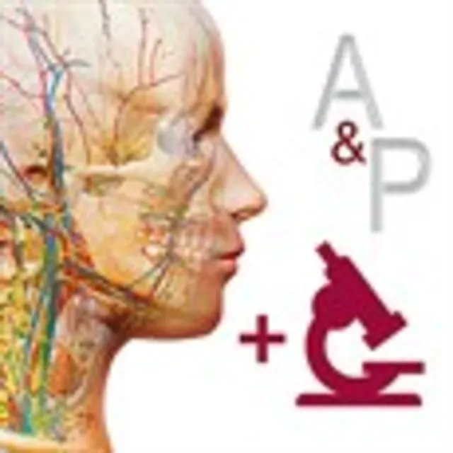 A&amp;P: Anatomy and Physiology ✅ Microsoft Store ПК Активация