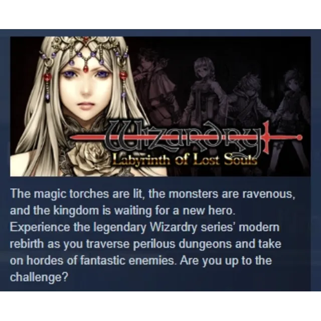 Wizardry: Labyrinth of Lost Souls АВТОДОСТАВКА STEAM GLOBAL МГНОВЕННО ЛИЦЕНЗИЯ