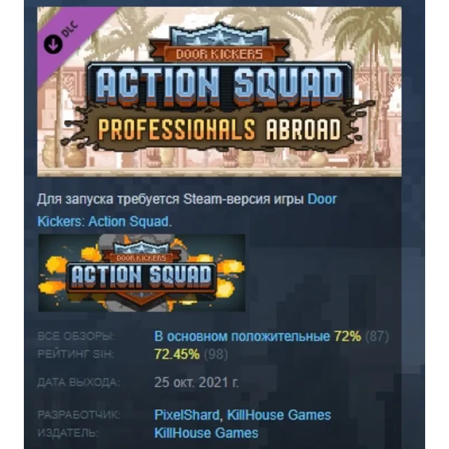 Door Kickers Action Squad Professionals Abroad АВТОДОСТАВКА STEAM GLOBAL МГНОВЕННО ЛИ