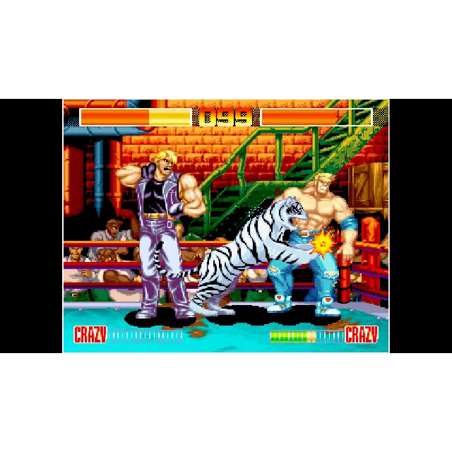ACA NEOGEO AGGRESSORS OF DARK KOMBAT for Windows