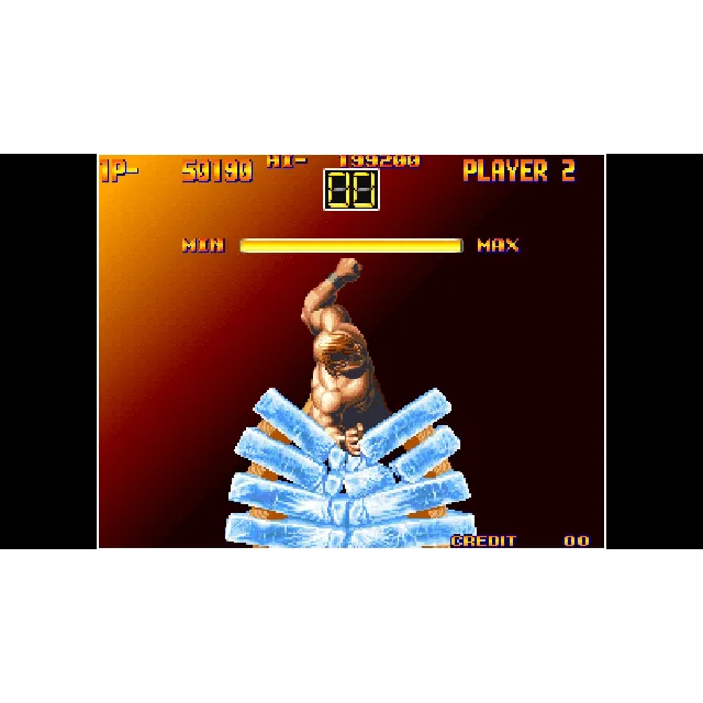 ACA NEOGEO ART OF FIGHTING