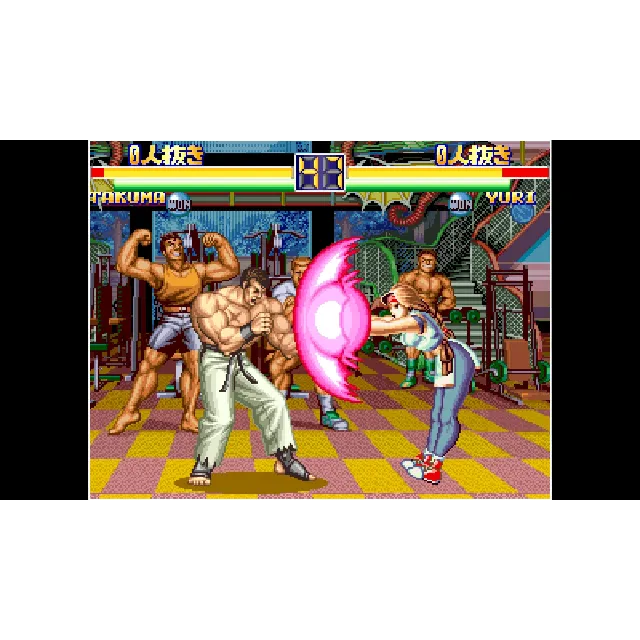 ACA NEOGEO ART OF FIGHTING 2 for Windows