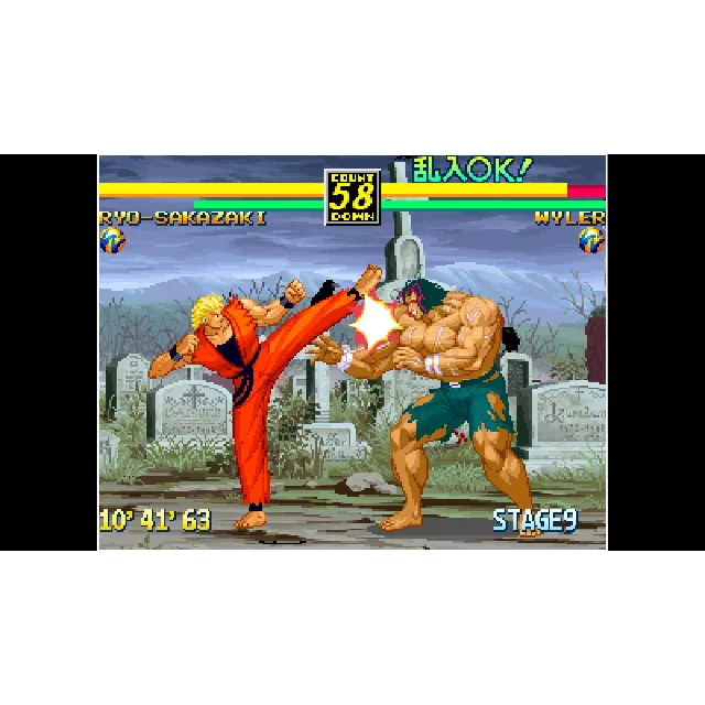 ACA NEOGEO ART OF FIGHTING 3 for Windows
