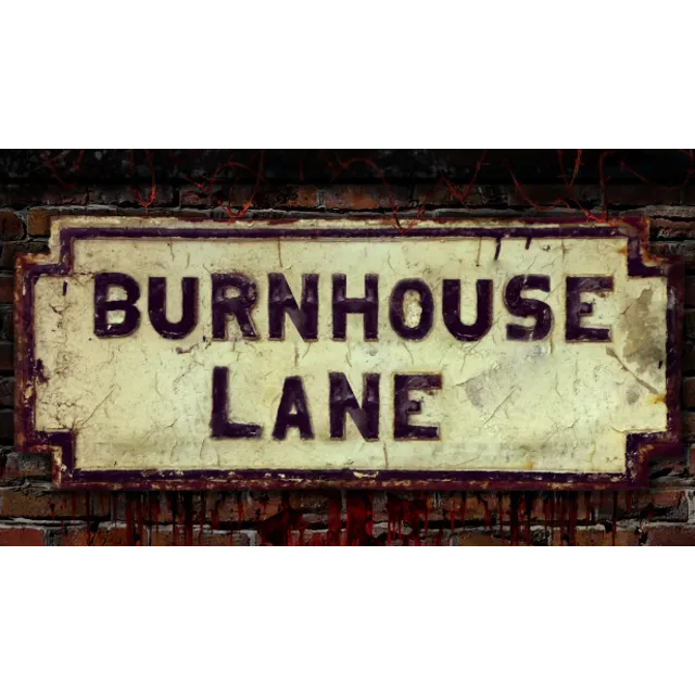 🔥 Burnhouse Lane | Steam РУ+UA+KZ+СНГ🔥