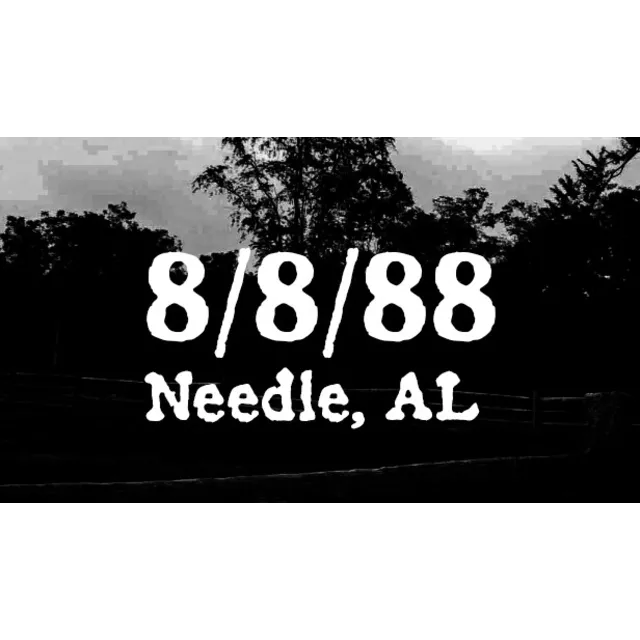 🔥 8/8/88 Needle AL | Steam РУ+UA+KZ+СНГ🔥