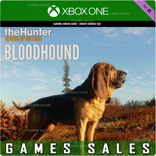 ✅❤️THEHUNTER: CALL OF THE WILD - BLOODHOUND❤️XBOX🔑КЛЮЧ