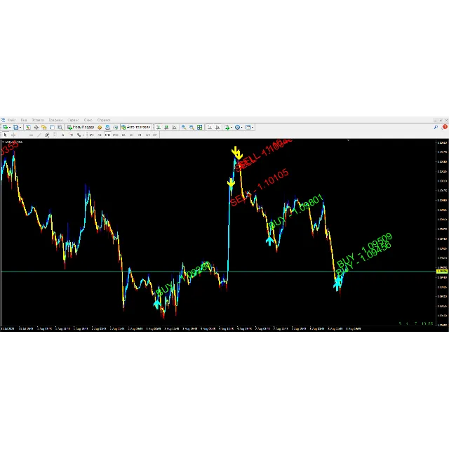Forex ZUBR