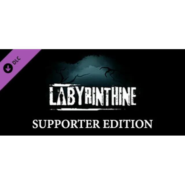Labyrinthine Supporter Edition DLC * STEAM RU ⚡