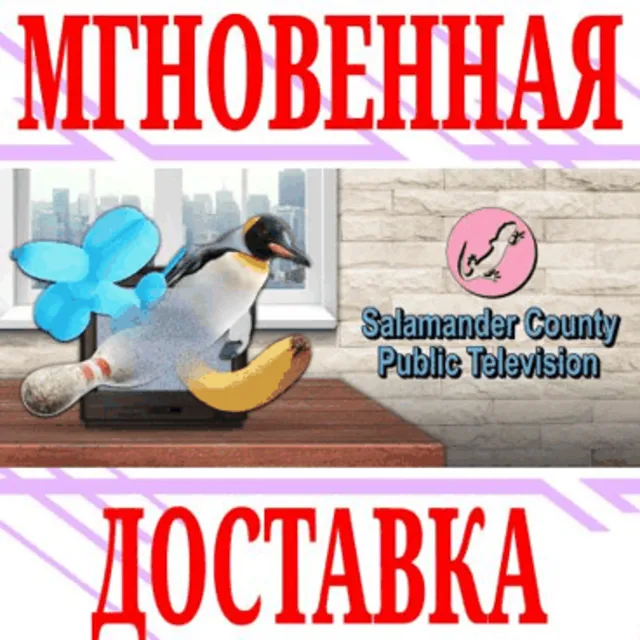 ✅Salamander County Public Television ⭐Steam\РФ+Мир\Key⭐