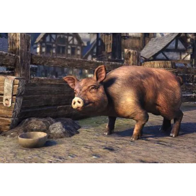 🐖 TESO Bristlegut Piglet + 15 days ESO Plus +750 Crown