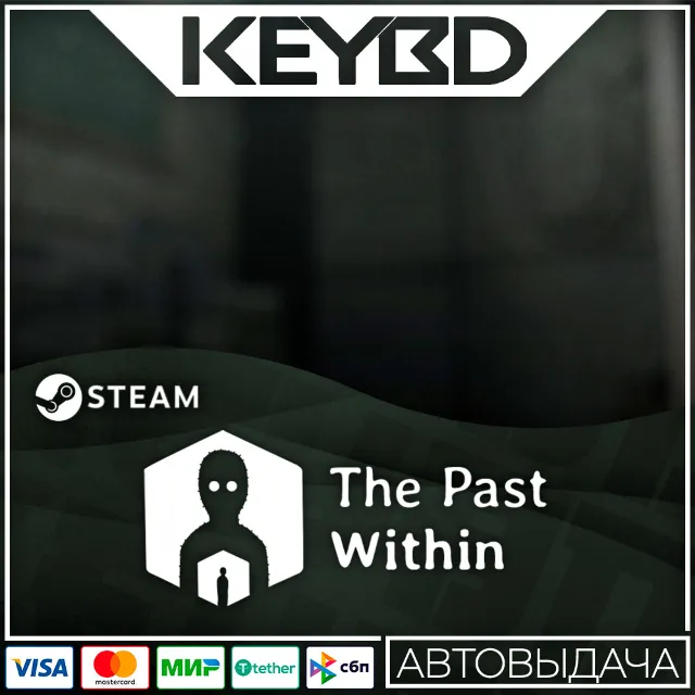 The Past Within Steam GIft 🚀 АВТО 💳0% Карты