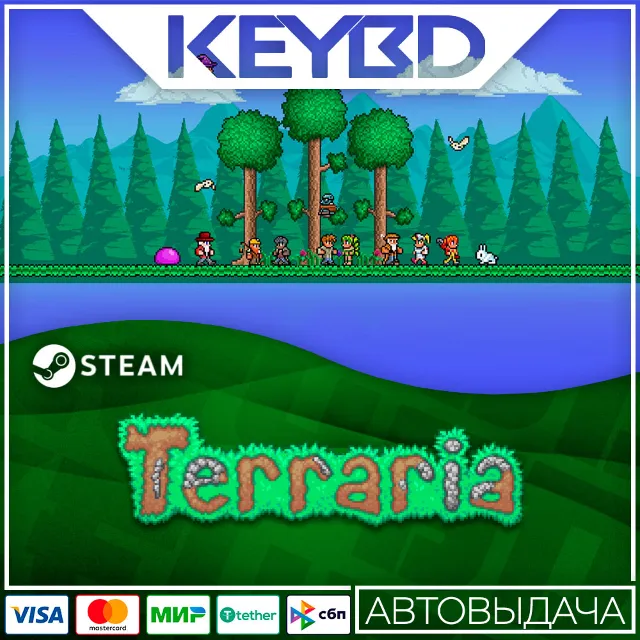 Terraria Steam GIft 🚀 АВТО 💳0% Карты