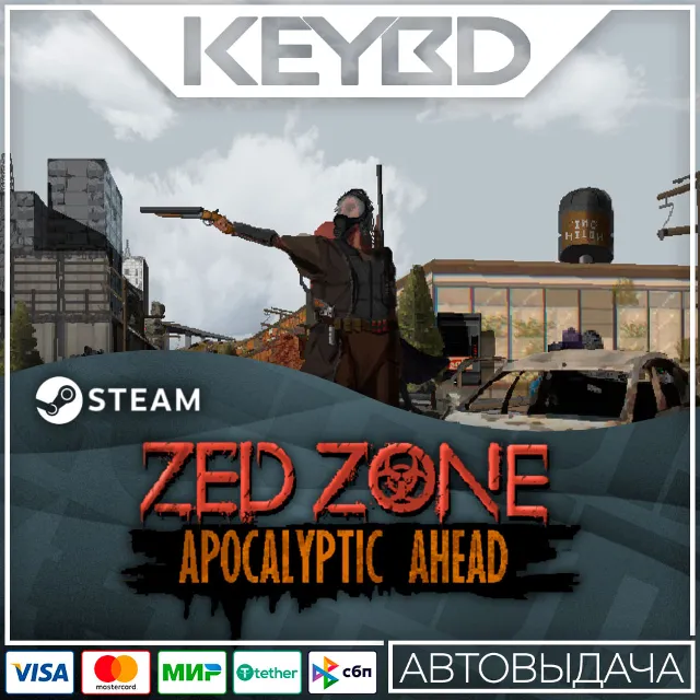 ZED ZONE · Steam Gift🚀АВТО💳0% Карты