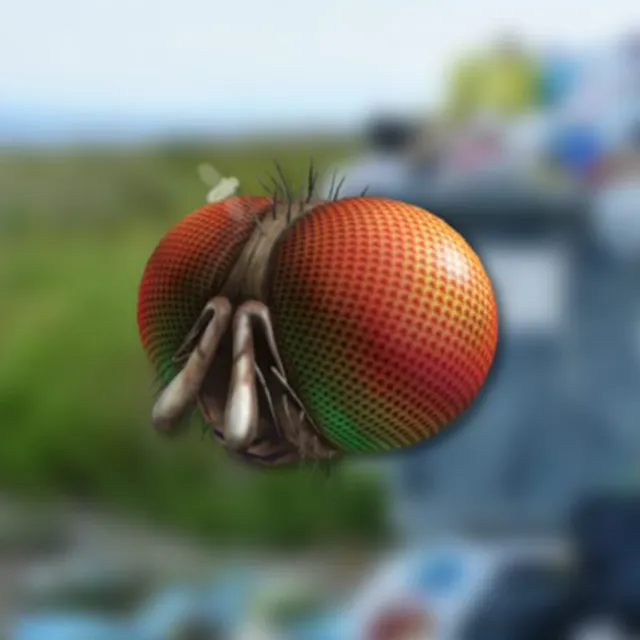 Код 🔑 Roblox ⭐️ Freaky Fly Face