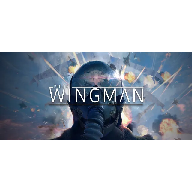 ⭐️ Project Wingman [Steam/Global] [Cashback]