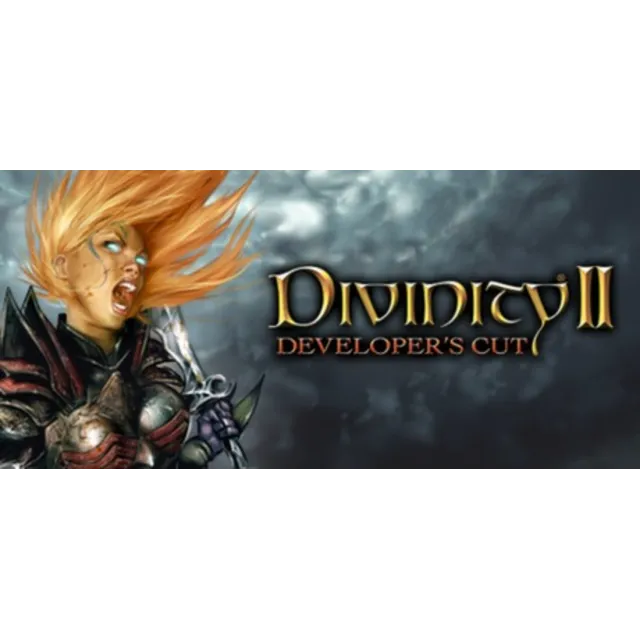 Divinity II Developer's Cut * STEAM RU ⚡ АВТО 💳0%