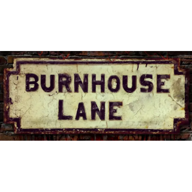 Burnhouse Lane * STEAM RU ⚡ АВТО 💳0%