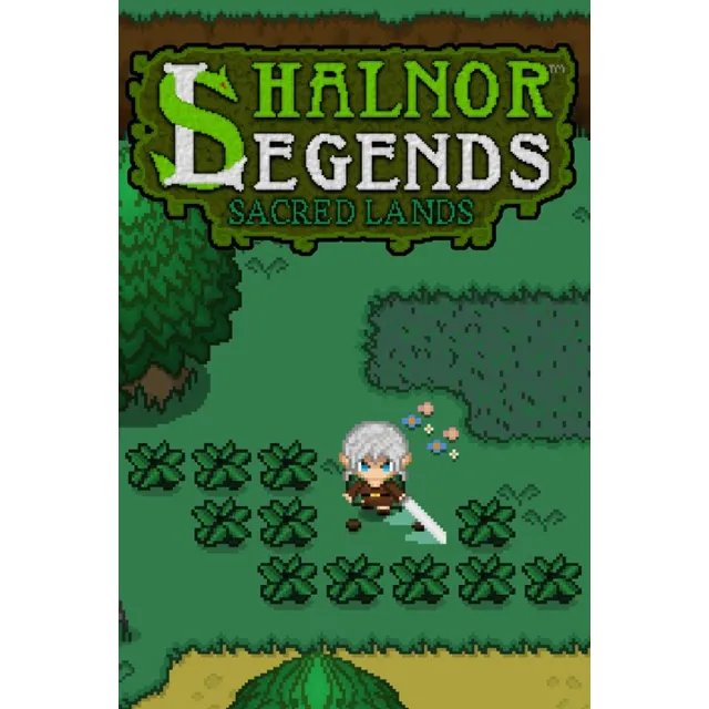 ✅ Shalnor Legends: Sacred Lands Xbox One|X|S ключ