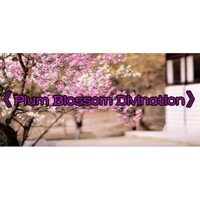 《梅花易数》 * STEAM РОССИЯ ⚡ АВТОДОСТАВКА 💳0% КАРТЫ