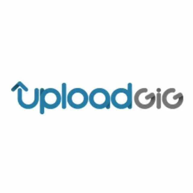 Премиум-аккаунт UPLOADGIG 7 дней 700 ГБ
