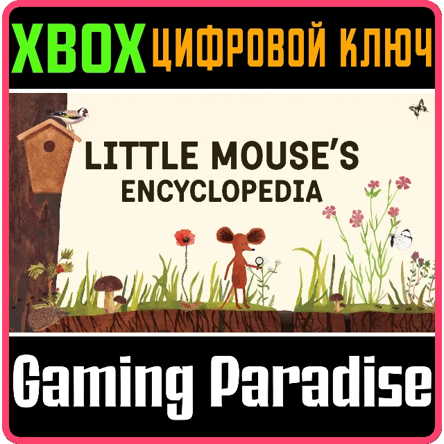 ❗LITTLE MOUSE