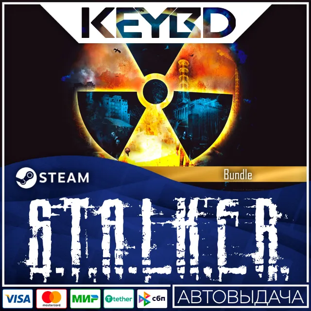 S.T.A.L.K.E.R.: Bundle · Steam Gift 🚀АВТОДОСТАВКА 💳0%