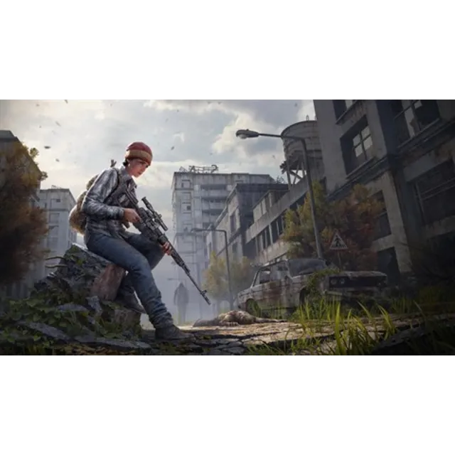 DayZ