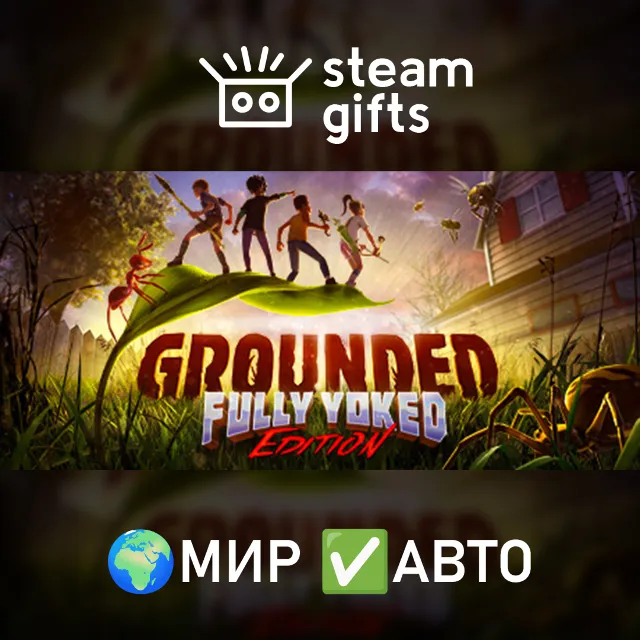 Grounded МИР АВТО