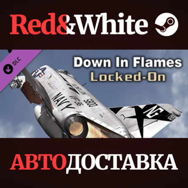 Down in Flames: Locked-On DLC * STEAM🔥АВТОДОСТАВКА