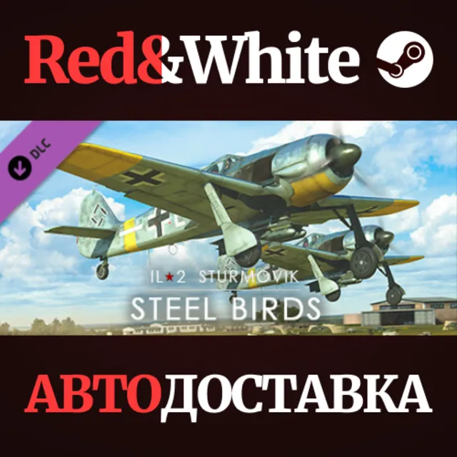 IL-2 Sturmovik: Steel Birds Campaign DLC * STEAM RU🔥