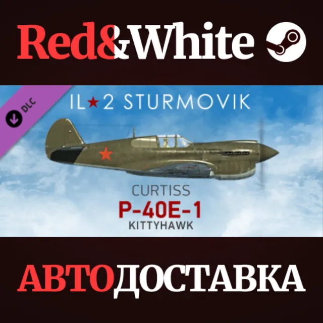 IL-2 Sturmovik: P-40E-1 Collector Plane DLC