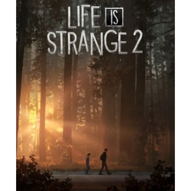 🎭Life is Strange 2✔️STEAM Аккаунт | ОФЛАЙН