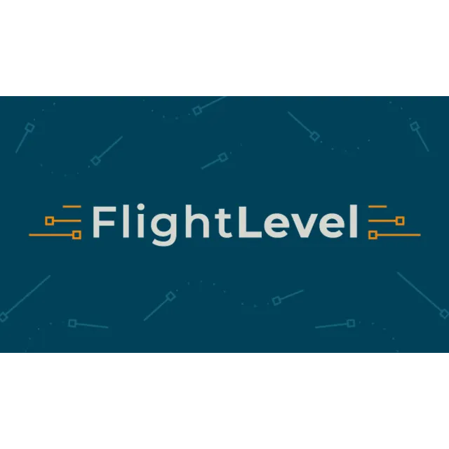 🔥 Flight Level | Steam РУ+UA+KZ+СНГ🔥