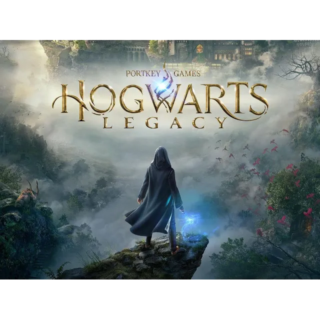 hogwarts legacy Deluxe PS 4 / PS5  общий