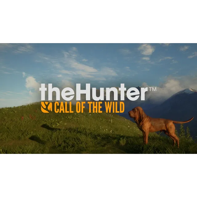 💥THEHUNTER: CALL OF THE WILD - BLOODHOUND❤️XBOX🔑КЛЮЧ