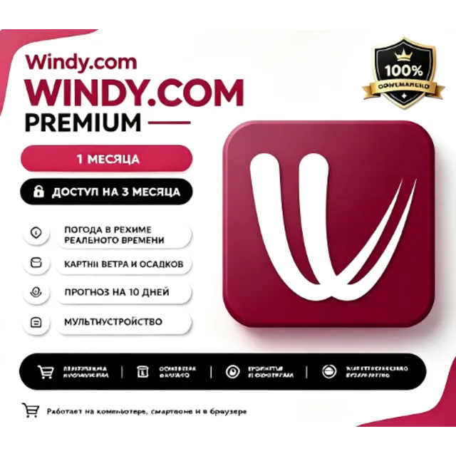 Подписка на премиум-аккаунт Windy.com на 1 год