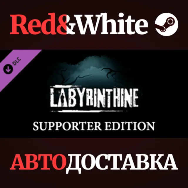 Labyrinthine Supporter Edition DLC * STEAM RU🔥