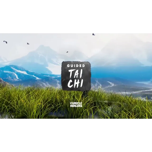 🟦Guided Tai Chi VR 🔥Oculus Quest 1\2\3\Pro🔥Gift +🎁