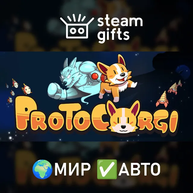 ProtoCorgi МИР АВТО
