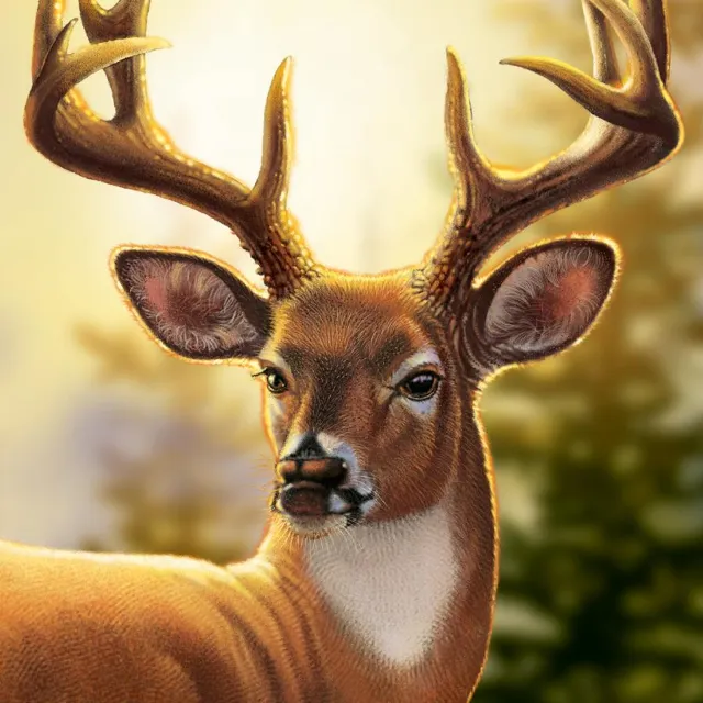 Big Buck Hunter Arcade КЛЮЧ🔑 STEAM РФ+СНГ