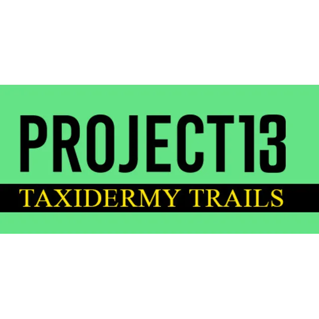Project 13: Taxidermy Trails 💎 АВТОДОСТАВКА STEAM GLOBAL МГНОВЕННО ЛИЦЕНЗИЯ