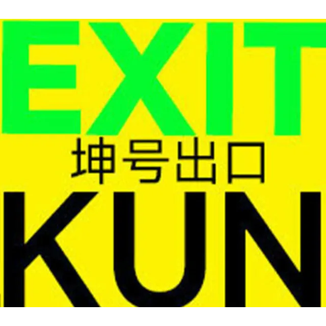 EXIT KUN ✔️STEAM Аккаунт