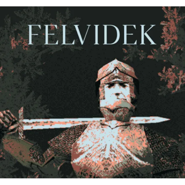 FELVIDEK ✔️(STEAM) АККАУНТ ✅ГАРАНТИЯ🎁+ИГРЫ