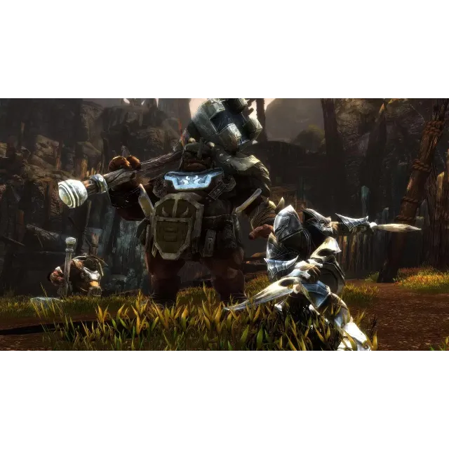 Kingdoms of Amalur: Re-Reckoning - FATE EDITION КЛЮЧ🔑