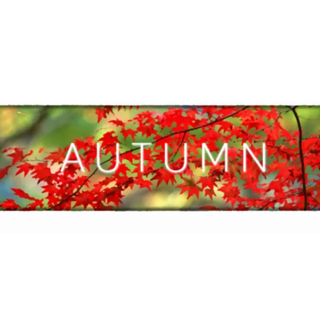 Autumn [STEAM KEY/REGION FREE] 🔥