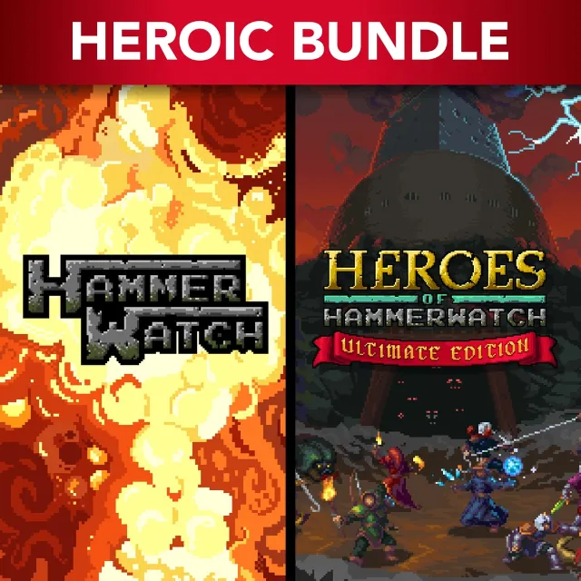 🛑Heroes of Hammerwatch PSN Турция🚀