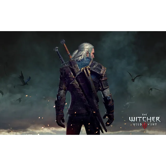 The Witcher 3: Wild Hunt/PS4-PS5+ дополнения(2)